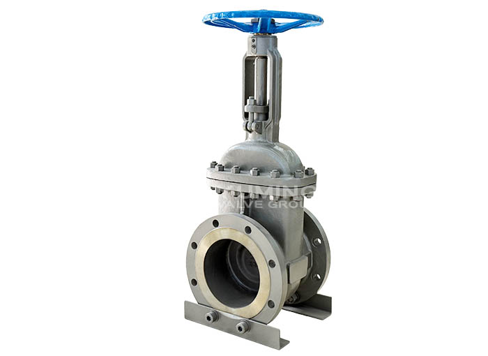 ANSI Gate Valve 
